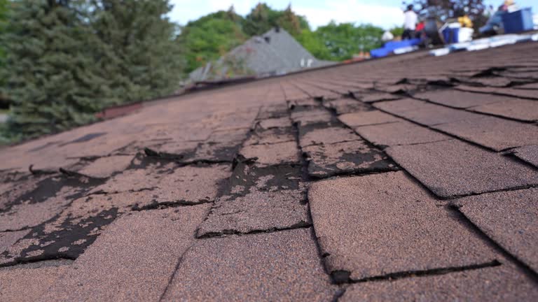 Fast & Reliable Emergency Roof Repairs in Warren, OH